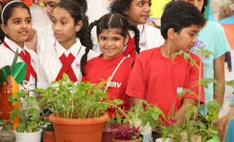 MRV Goes Green in 2014