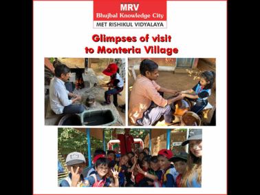 From Workshops to Tractor Rides: MRV\'s Memorable Village Picnic!