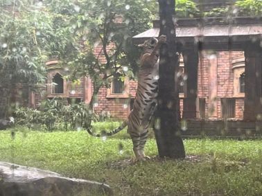 Grade 6 Explores Veermata Jijabai Zoo