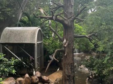 Grade 6 Explores Veermata Jijabai Zoo